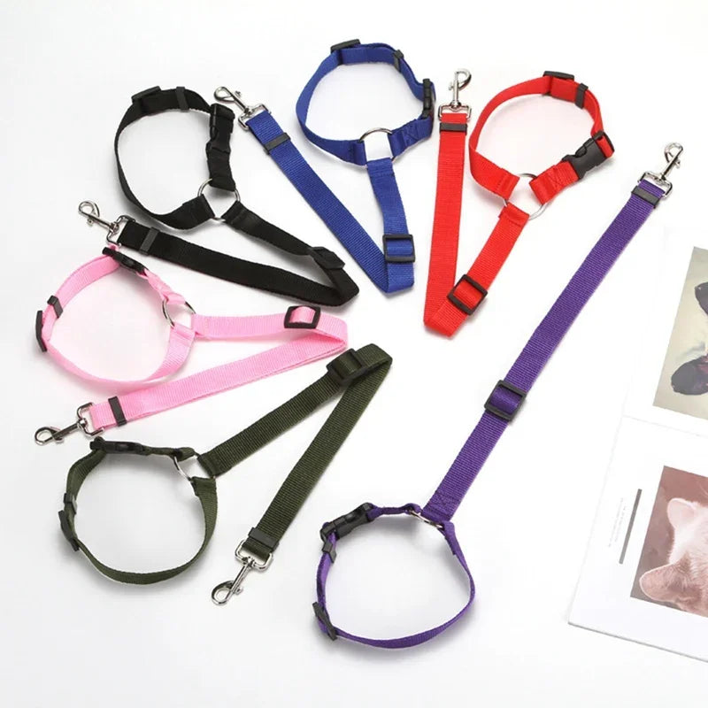 Solid Color 2 in 1 Pet Car Seat Belt Lead Leash BackSeat Safety Belt Adjustable Harness for Kitten Dogs Collar Pet Accessories