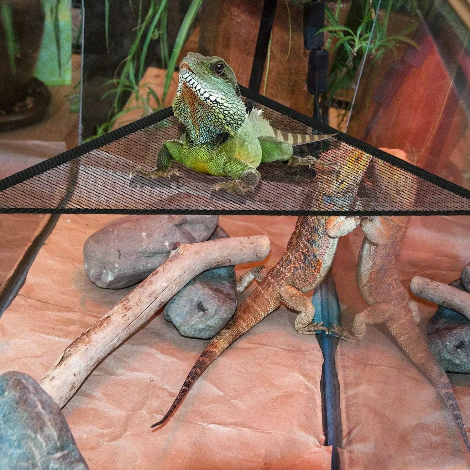 2Pcs Bearded Dragon Lizard Hammock - Breathable Mesh Geckos Hammock Reptile Hammock, Suitable for Lguanas, Axolotls, Anoles, Gec