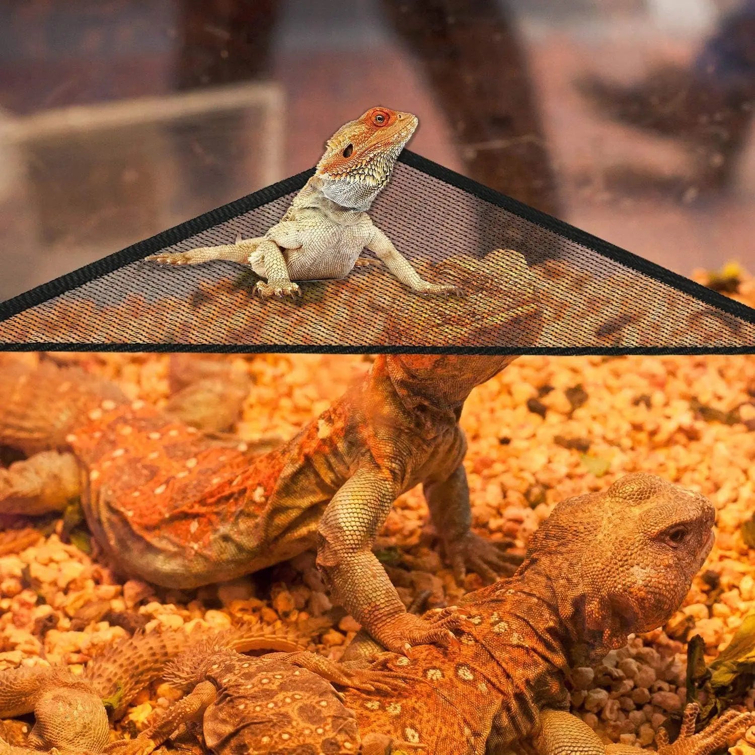 2Pcs Bearded Dragon Lizard Hammock - Breathable Mesh Geckos Hammock Reptile Hammock, Suitable for Lguanas, Axolotls, Anoles, Gec