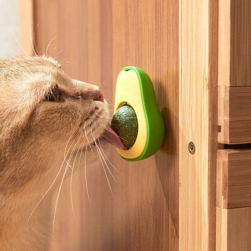 Top-Selling Rotating Cat Toy – Healthy Intestine Spin Balls with Edible Catnip & Avocado Flavor