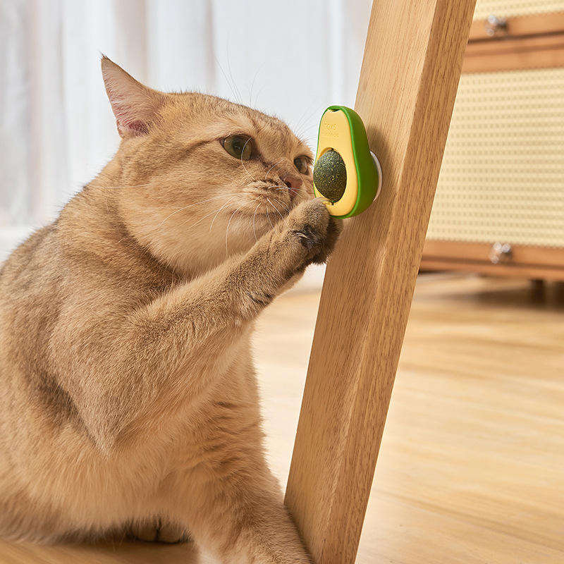 Top-Selling Rotating Cat Toy – Healthy Intestine Spin Balls with Edible Catnip & Avocado Flavor