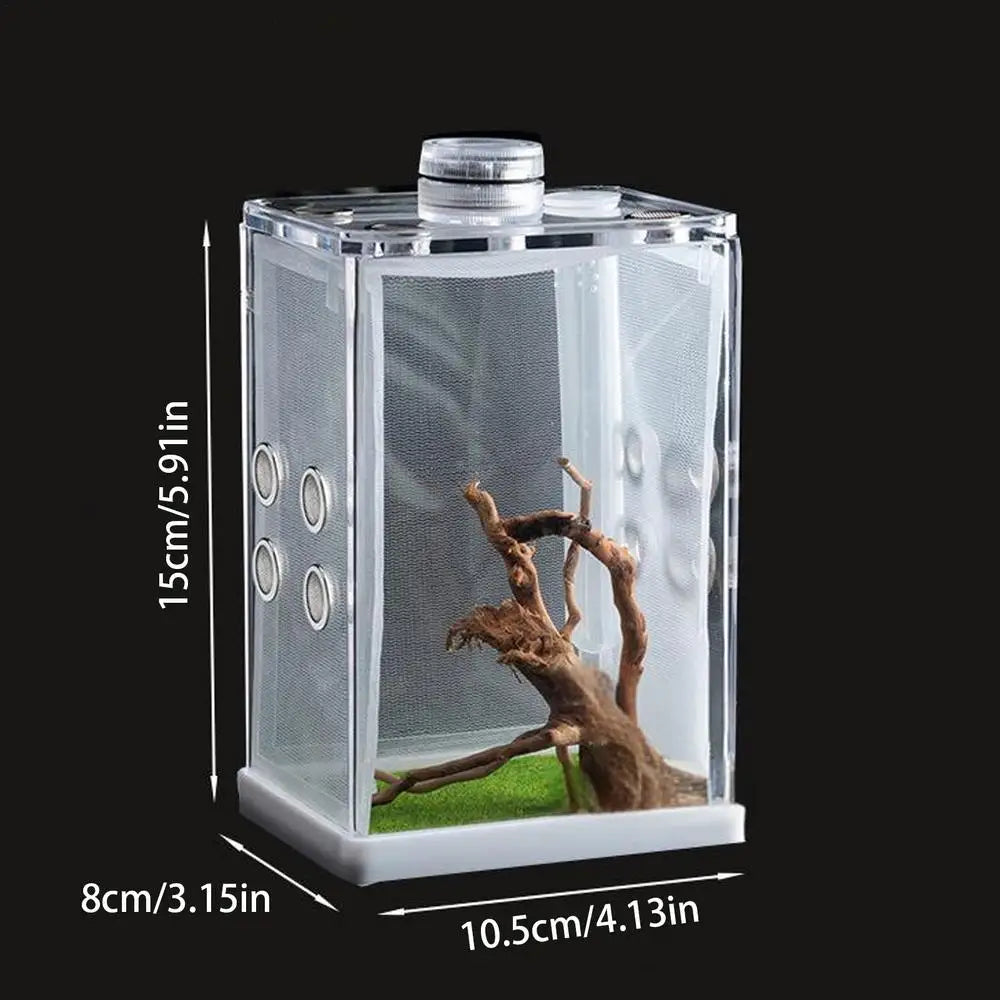 Spider Cage Reptile Hatching Box Fish Breeding Tanks Fish & Aquatic Pets Breeding Tanks Reptiles & Amphibian Supplies Enclosure
