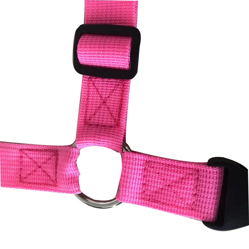 Solid Color 2 in 1 Pet Car Seat Belt Lead Leash BackSeat Safety Belt Adjustable Harness for Kitten Dogs Collar Pet Accessories