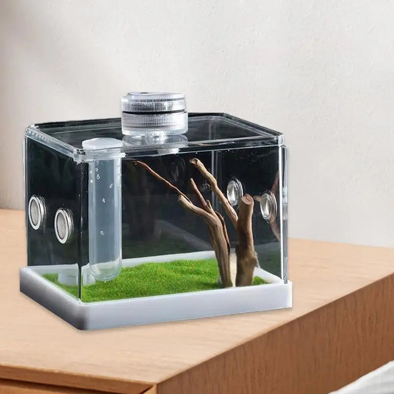 Spider Cage Reptile Hatching Box Fish Breeding Tanks Fish & Aquatic Pets Breeding Tanks Reptiles & Amphibian Supplies Enclosure