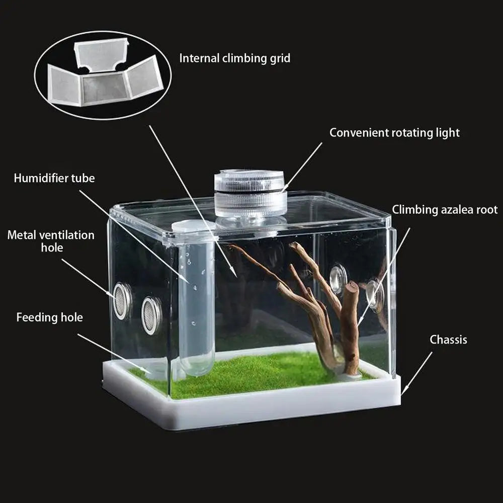 Spider Cage Reptile Hatching Box Fish Breeding Tanks Fish & Aquatic Pets Breeding Tanks Reptiles & Amphibian Supplies Enclosure