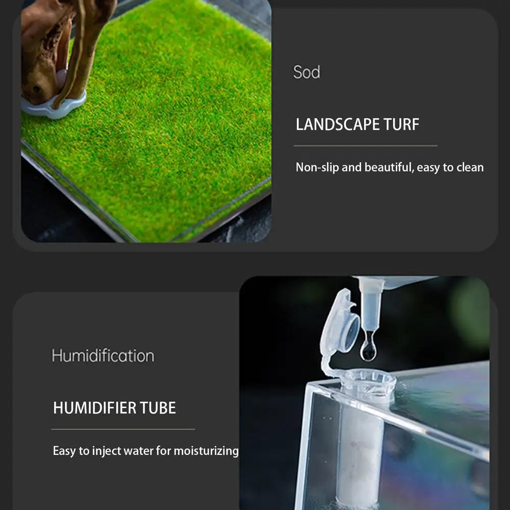 Spider Cage Reptile Hatching Box Fish Breeding Tanks Fish & Aquatic Pets Breeding Tanks Reptiles & Amphibian Supplies Enclosure