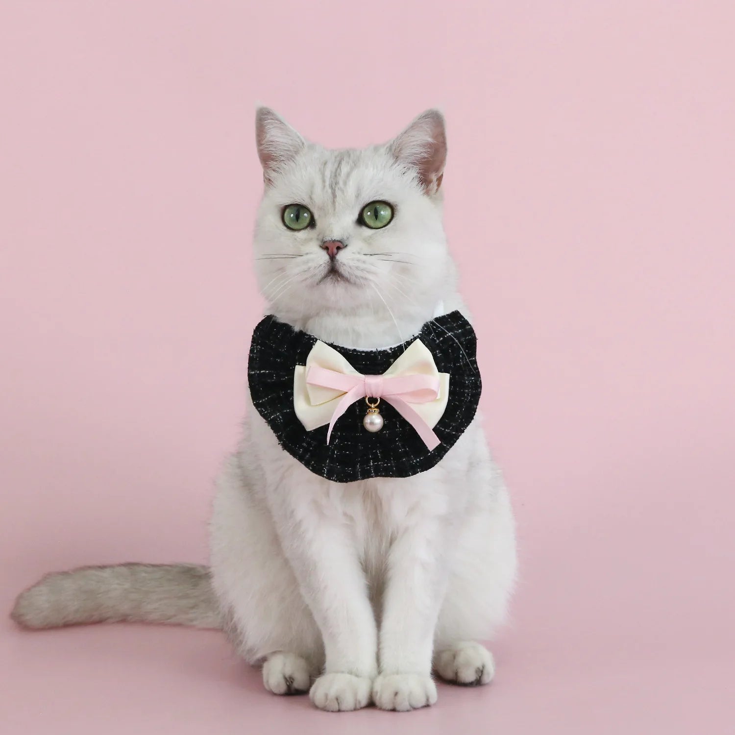 1pc Elegant Pet Princess Outfit Set - Chic Beret, Pearl Bow & Floral Bib for Cats and Small Dogs