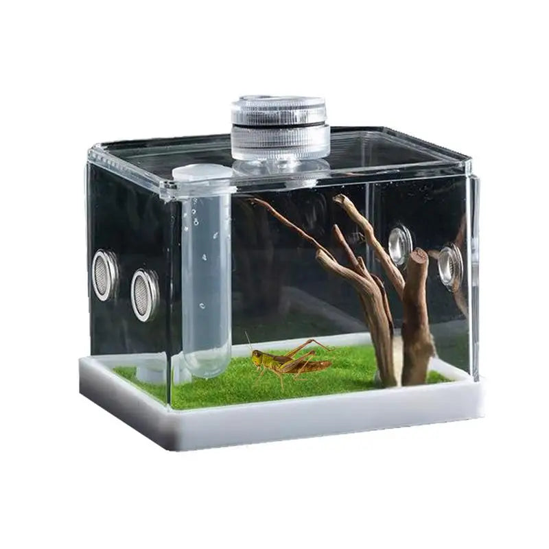 Spider Cage Reptile Hatching Box Fish Breeding Tanks Fish & Aquatic Pets Breeding Tanks Reptiles & Amphibian Supplies Enclosure