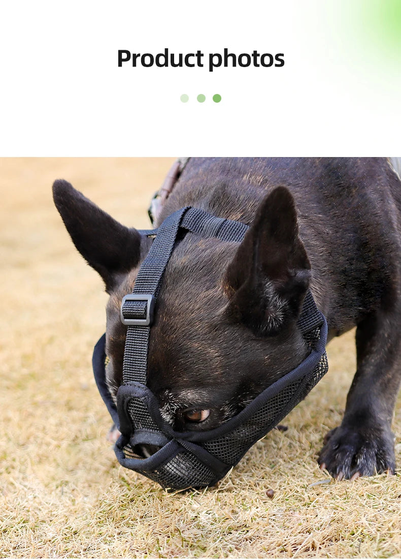 Dog Muzzle for Short-snouted Dogs Preventing Barking French Bulldogs Breathable Muzzle Prevent Accidental Ingestion Pet Products