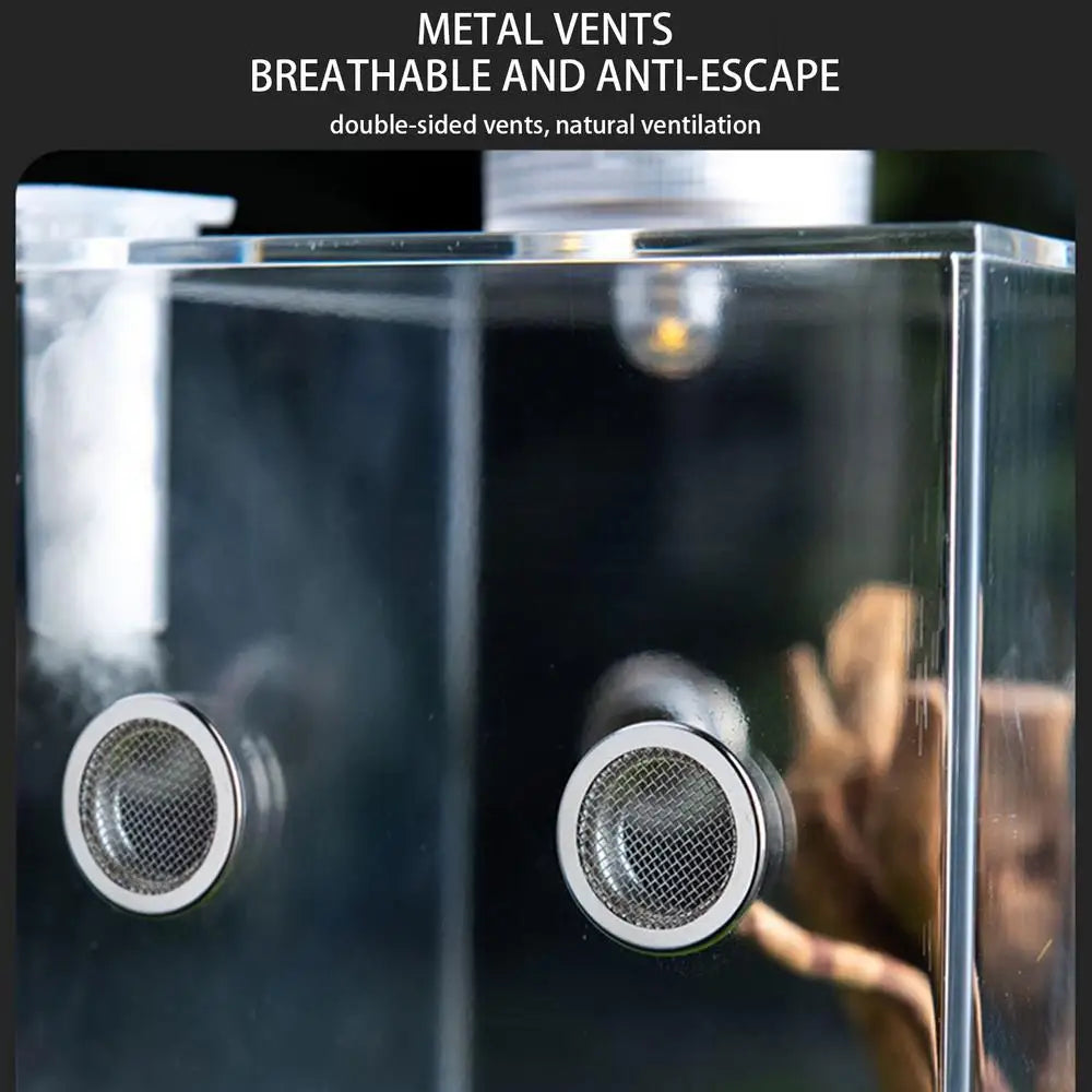 Spider Cage Reptile Hatching Box Fish Breeding Tanks Fish & Aquatic Pets Breeding Tanks Reptiles & Amphibian Supplies Enclosure