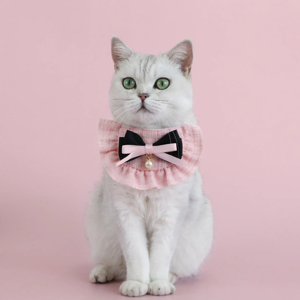 1pc Elegant Pet Princess Outfit Set - Chic Beret, Pearl Bow & Floral Bib for Cats and Small Dogs