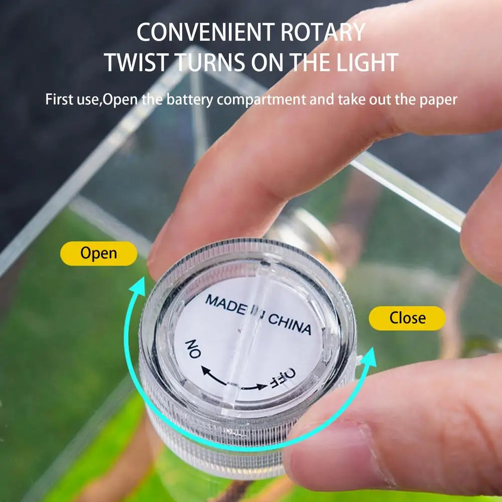 Spider Cage Reptile Hatching Box Fish Breeding Tanks Fish & Aquatic Pets Breeding Tanks Reptiles & Amphibian Supplies Enclosure