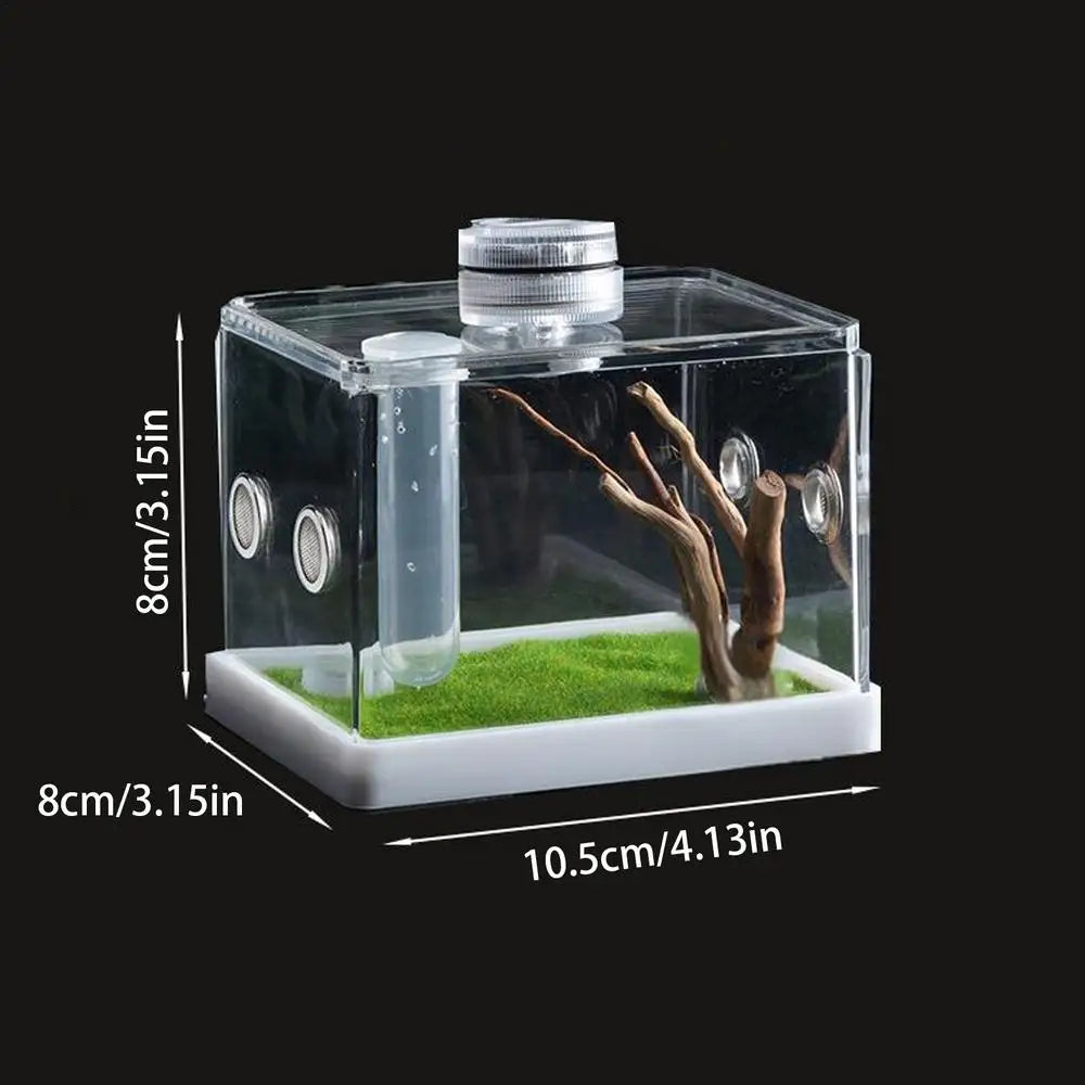 Spider Cage Reptile Hatching Box Fish Breeding Tanks Fish & Aquatic Pets Breeding Tanks Reptiles & Amphibian Supplies Enclosure